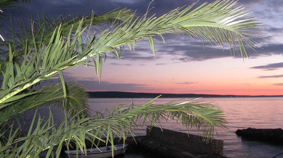 Bed And Breakfast Miramar Starigrad Exterior photo